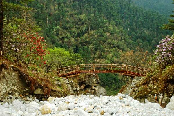 Experience Hanging Bridge in Rangpo Khola