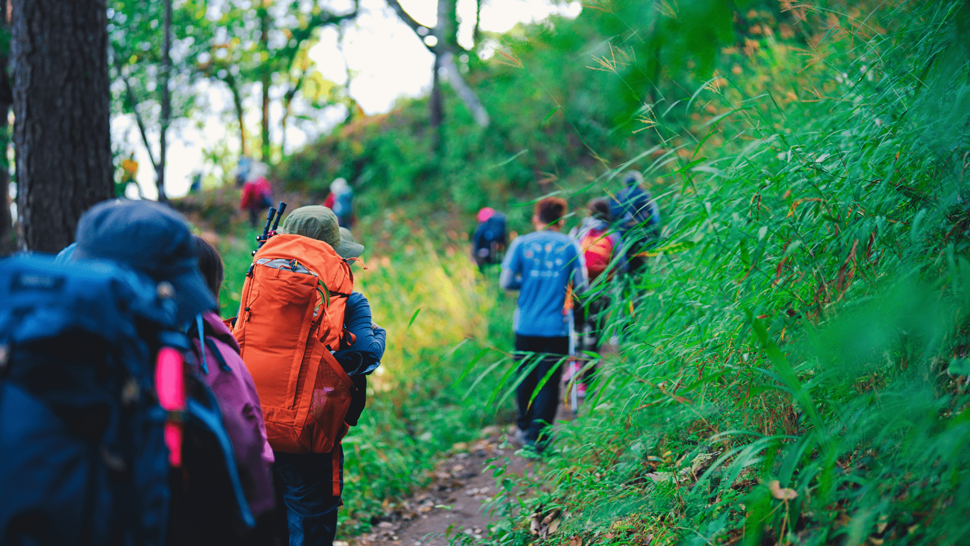 Why do We Feel The Urge To Travel?